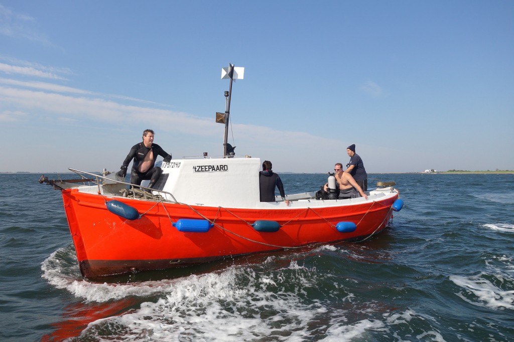 Bootjesduik Oosterschelde