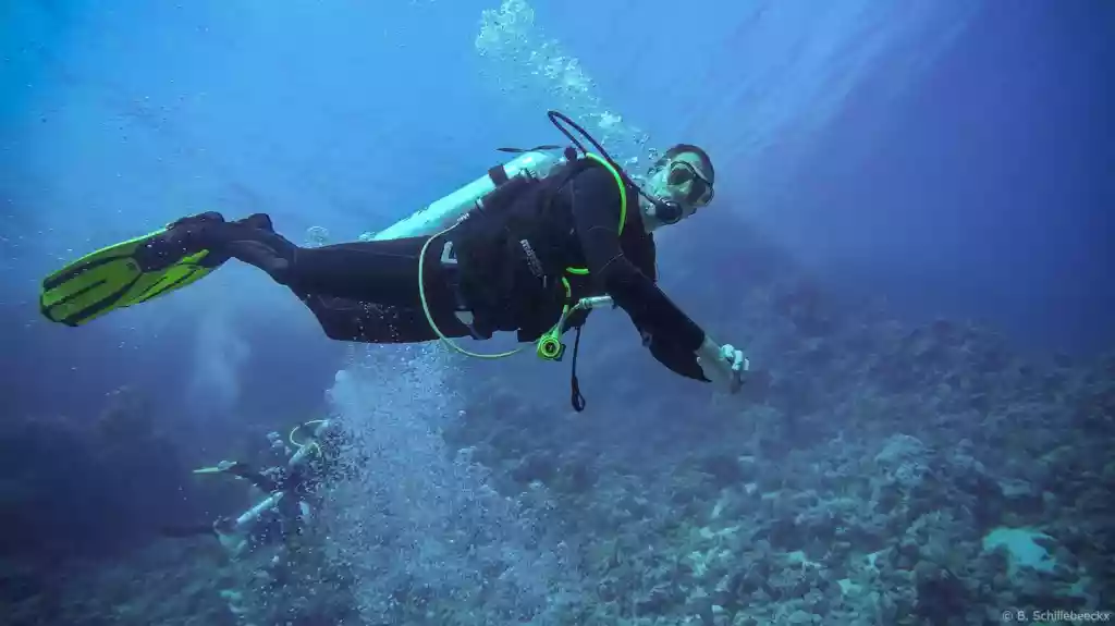 Bert aan het duiken in open water - B. Schillebeeckx