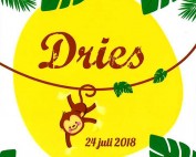 Dries Joke Wodan