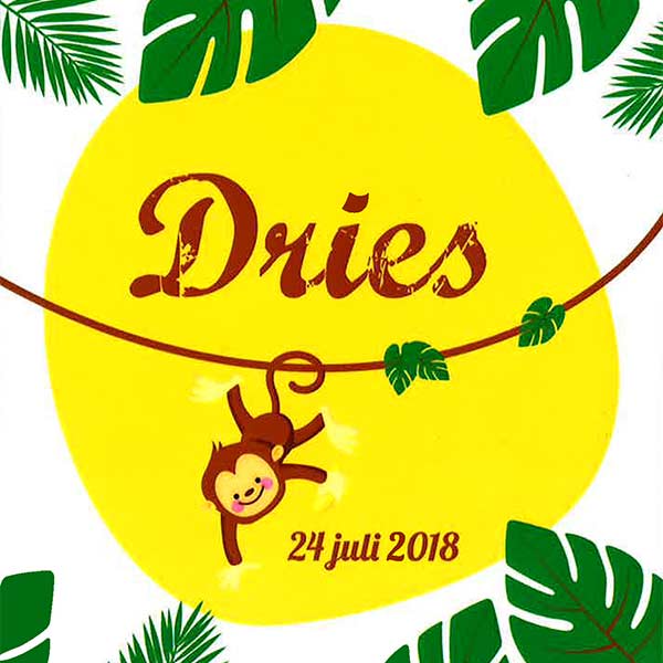 Dries Joke Wodan