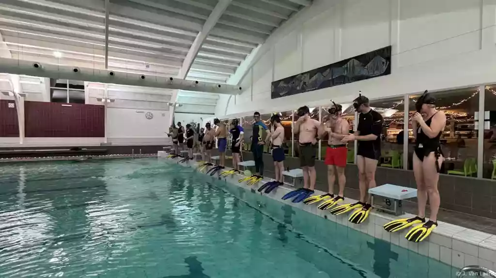 Iedereen staat klaar aan de zwembadrand om in het water te springen tijdens de zwembadtraining - J. Van Laere
